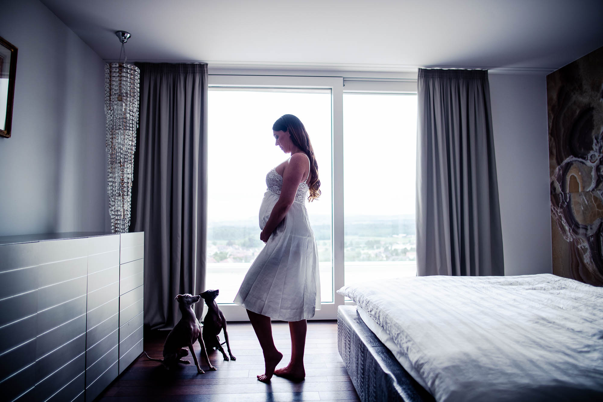 Export x3 1DX26129 Fotoshooting 2020 Zito